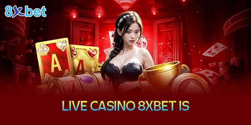 8xbet is – Thiên đường giải trí Casino trực tuyến hàng đầu 8xbet is – Thiên đường giải trí Casino trực tuyến hàng đầu